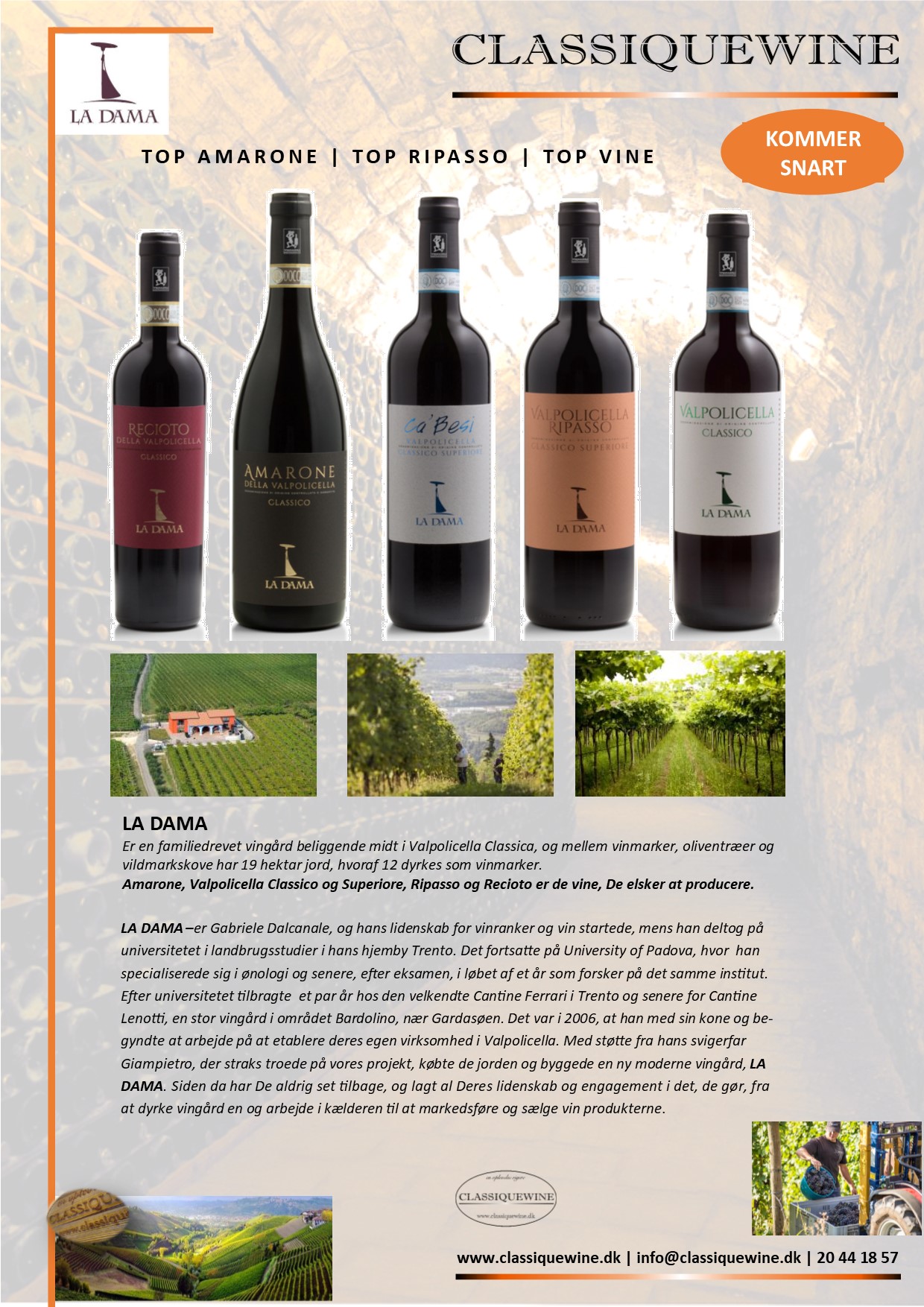 LA DAMA VALPOLICELLA